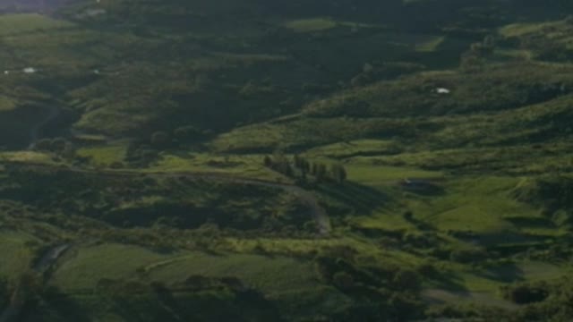 Panorama of a natural environment with various types of relief