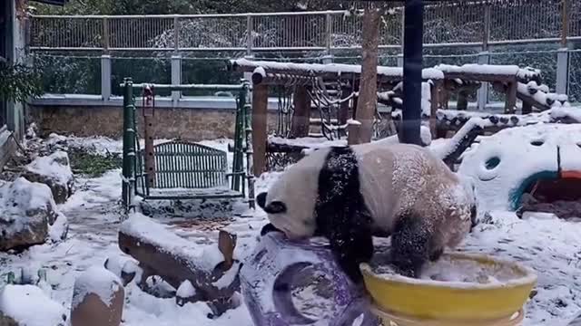 Playing with snow is the most fun on snowy days