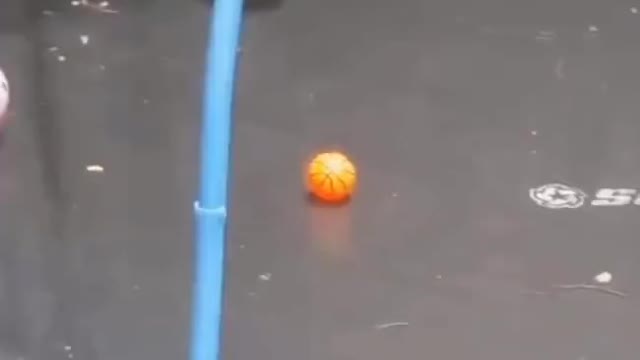 Squirrel having fun.. 😅