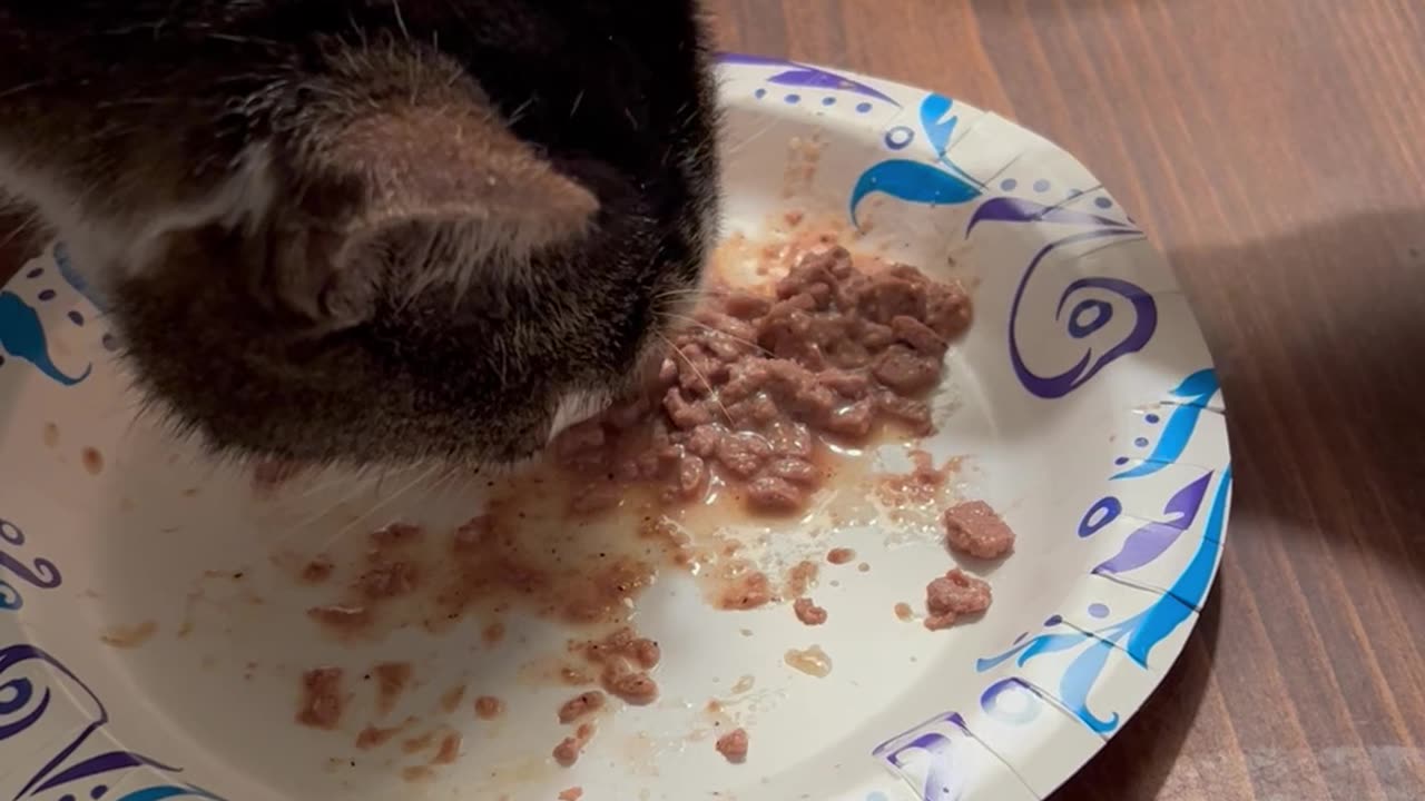 Ringo and Harriet Have Dinner Together