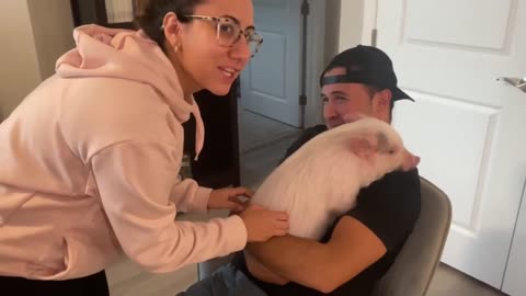 The pink pig holds her father's hand