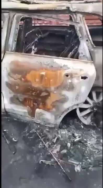 Dogs Killed by Russians