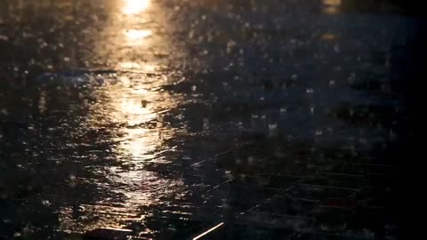 The city in the rain