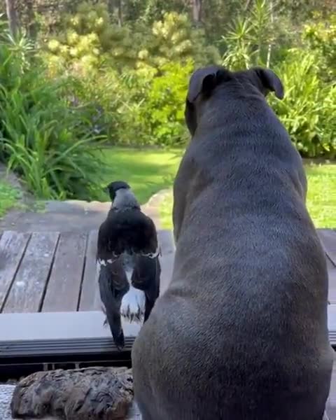 Enjoying the view together..