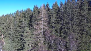 Video from the Tulferberg in austria