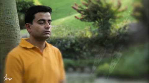 Relaxing Music | Sleeping, Meditation, Stress Relief | [1507] ⭐️