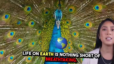 Discover the Amazing World of Animals | Fascinating Animal Stories"