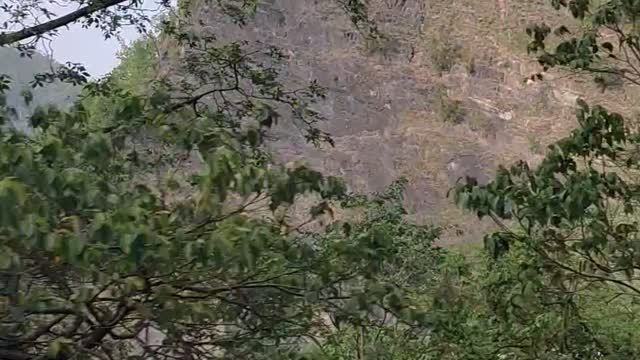 Mountain of Himachal