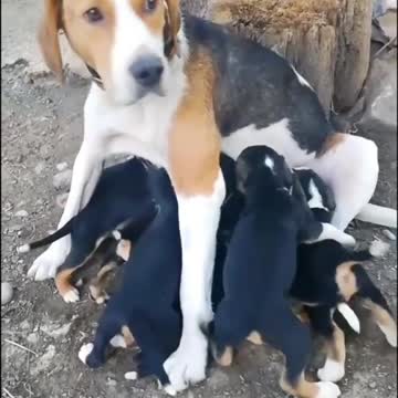 Wow, this is nice mother