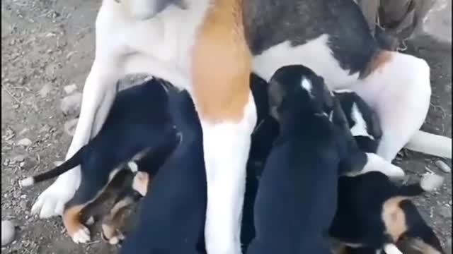 Wow, this is nice mother