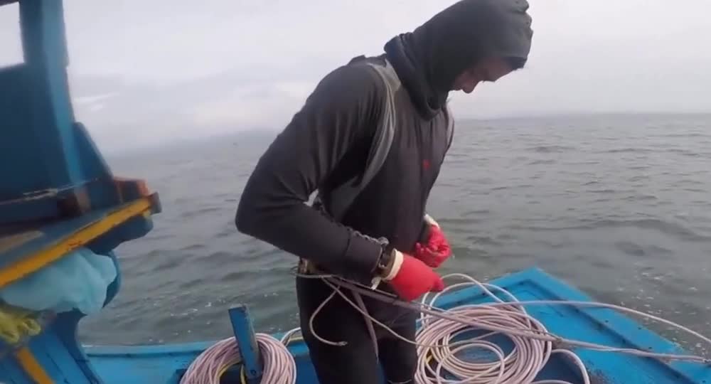 Foreign Thai diving team, bottom fishing conch octopus