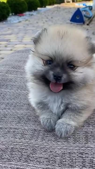 Ep. 1684 The Latest DOJ Announcement Should Sound The Alarms - The Dan Bongino Show