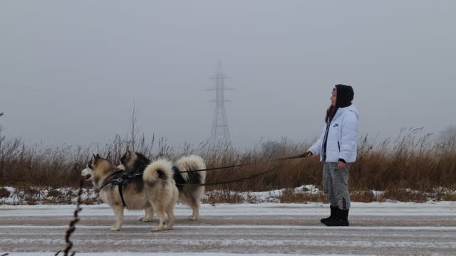 Woman Standing Outside with her Dogs during Winter