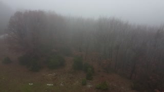 FOGGY MOUNTAIN