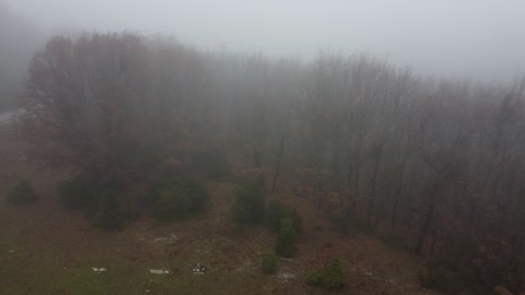 FOGGY MOUNTAIN