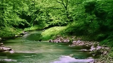 Relaxing nature