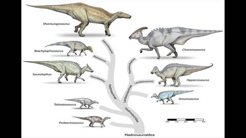 Hadrosaurs sound effect