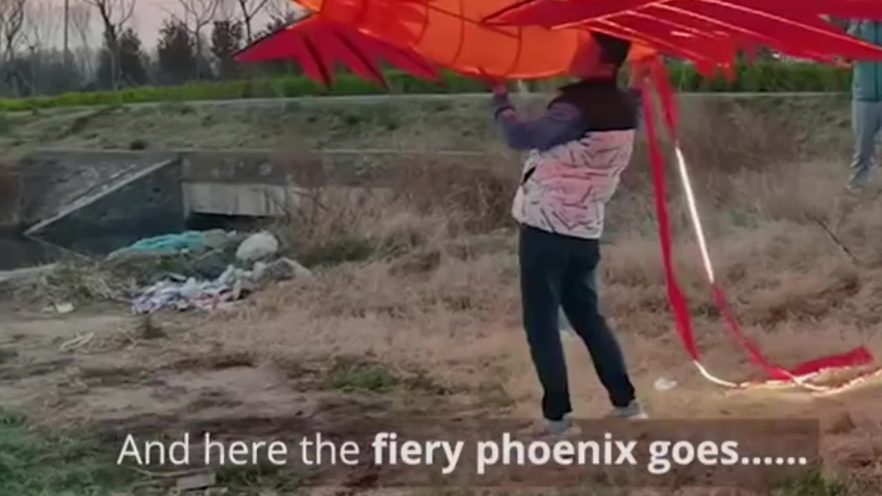 phoenix kite