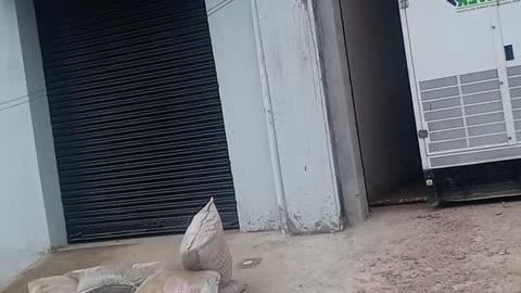 Indian work
