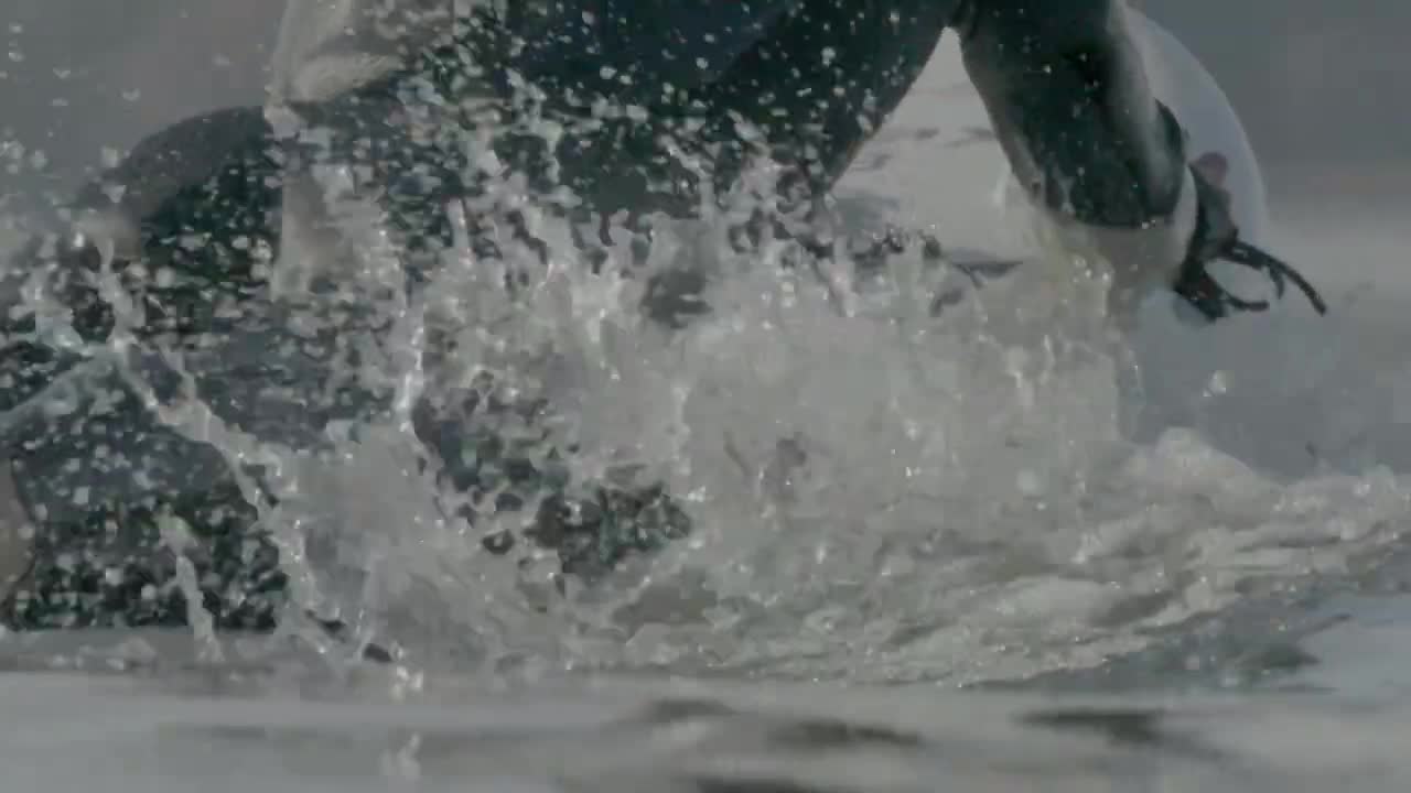 The E-Wolve, A New Era Of E-Surfing