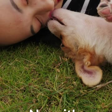 They've given you countless cuddles