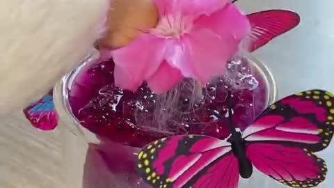 Butterfly That Little Puff