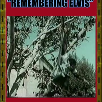 "REMEMBERING ELVIS" - SCATTER PT 2