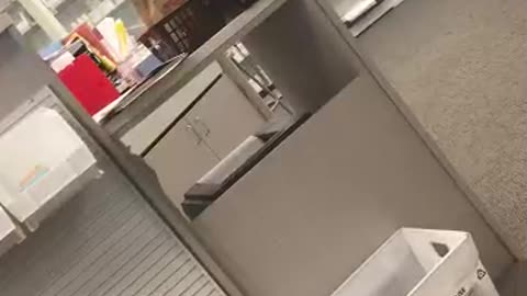 “又一個證據”，我們絕不能像他們對待我們一樣，忽視自己的生命價值！！