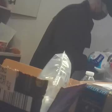 Project Veritas released video of FBI raid on journalist's home