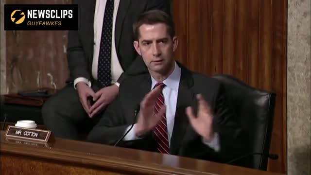 Senator Tom Cotton Questions DOD