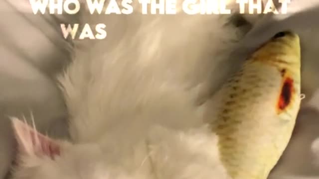Cats like to sleep with fish