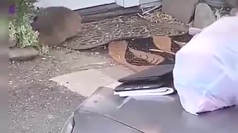 Let me spend the night Пустите переночевать