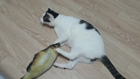 cat catching fish