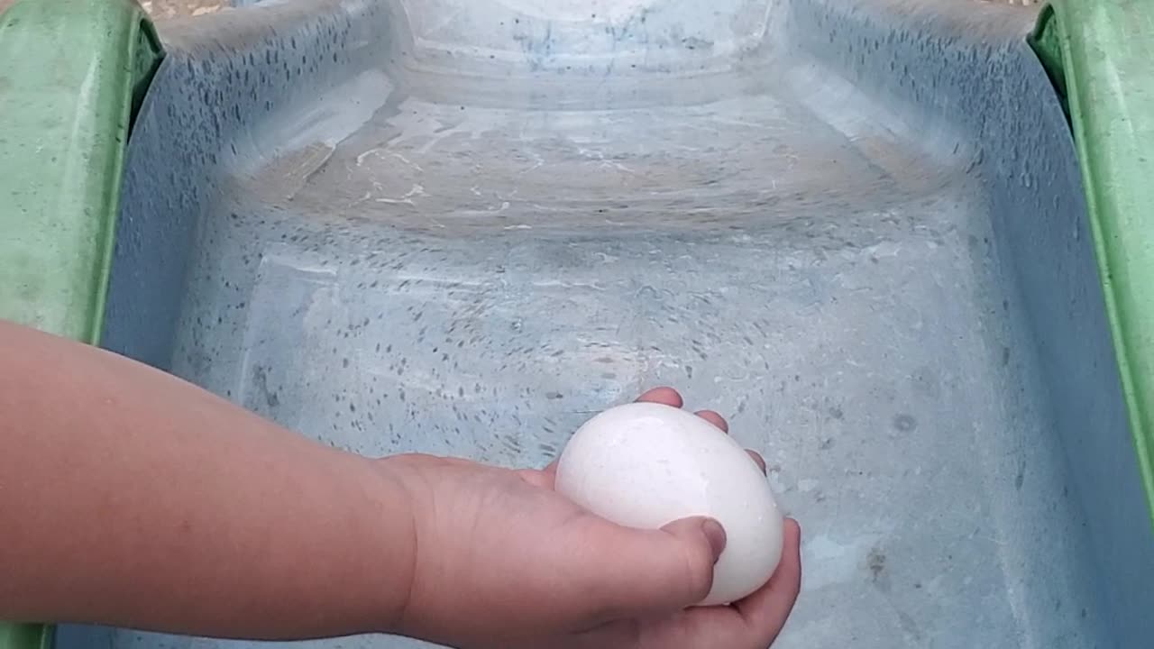 Egg - Slide Test