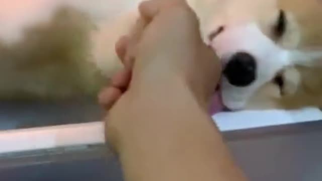 He slept
