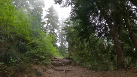 Alternate change in destination to Snow Lake, WA