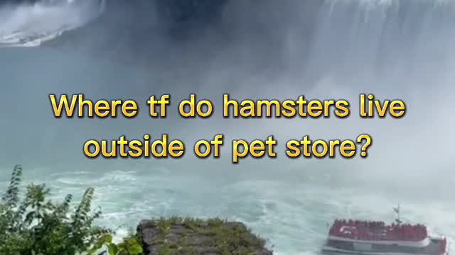 I'm lost please help me