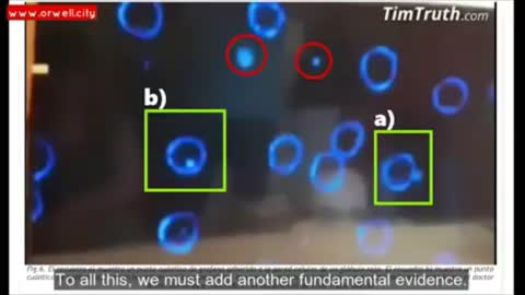 Quantum Dots in Vaccinated Blood Samples