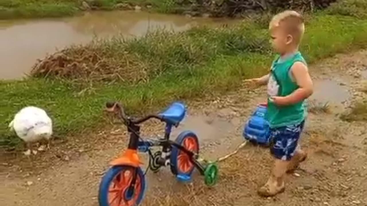 Child's Love For Birds #shorts #shortsvideo #video #viral