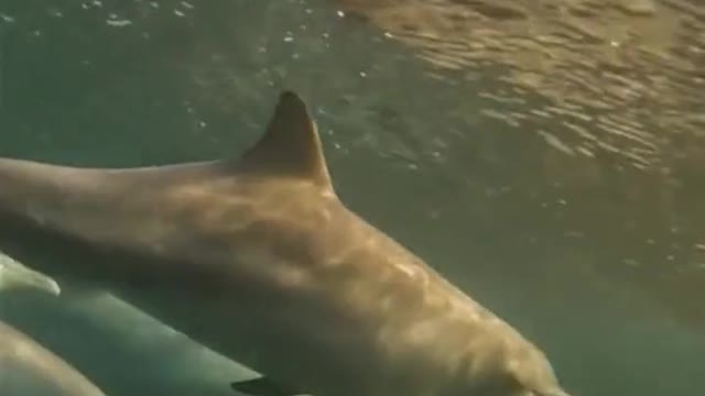 .was shocked by what he saw