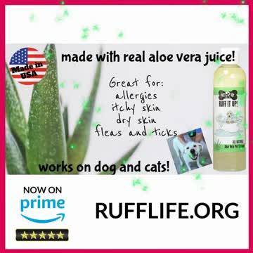 Why Aloe Vera for dogs?