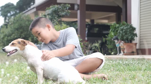 Boy playing with his dog sitting on the green grass.