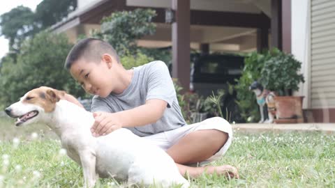 Boy playing with his dog sitting on the green grass.