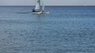 Hobie Cat Sailboat