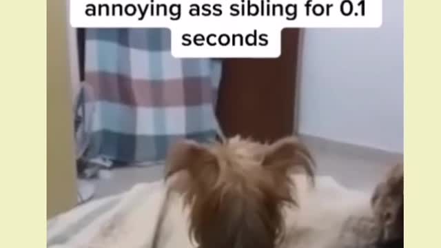 Their reaction when their Mom disappeared 😂
