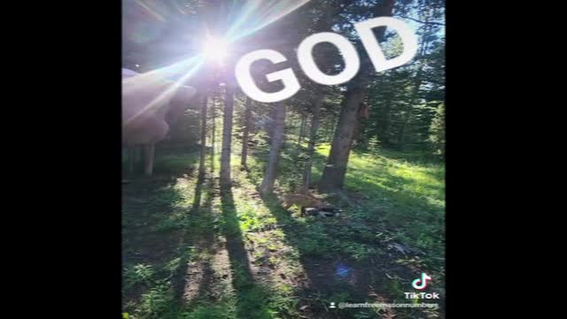 ALL My TikTok 7-15-2022 to 8-16-2022