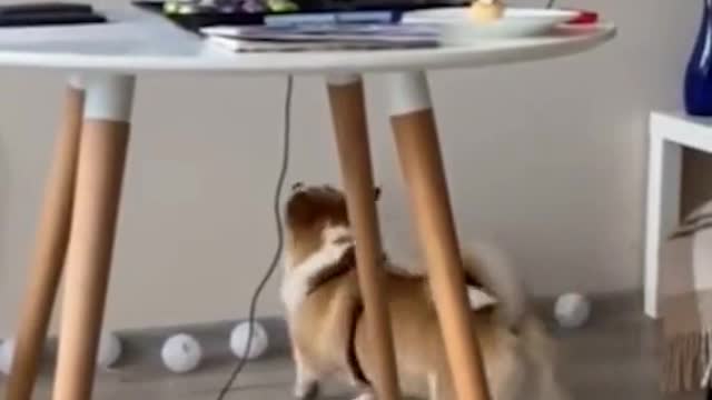 I think he missed his mother