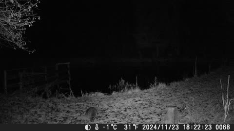 Teich 231124