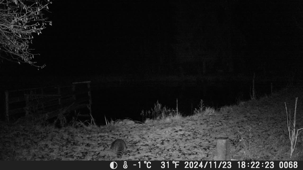 Teich 231124