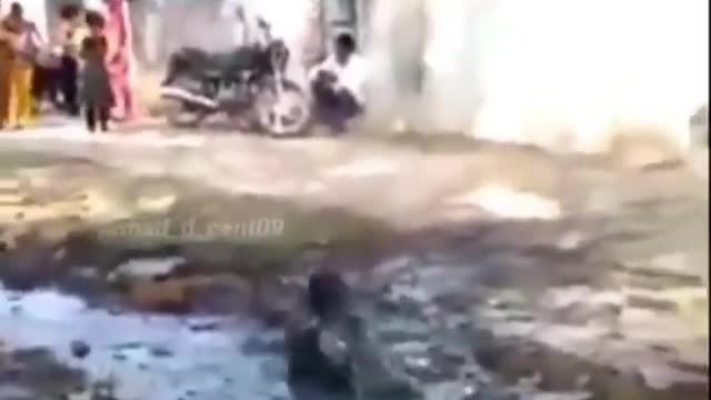 Funny video 2021🤣🤣